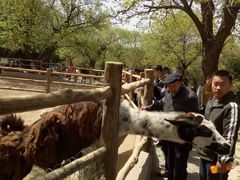 -西安秦岭野生动物园