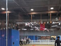-骑乐马术(广州奥体优托邦中心)