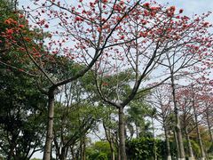 -长洲岛