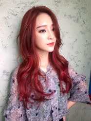 -SALON V