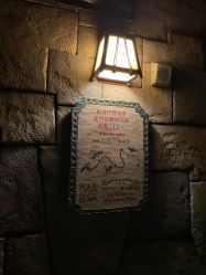 -翱翔飞越地平线