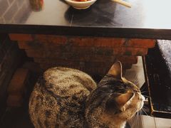 -酒友老火锅(渝中店)