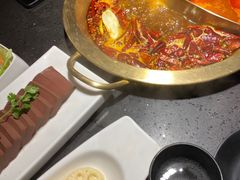 -锅说大脸毛肚重庆老火锅(佐阾店)