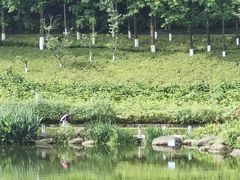 -重庆中央公园(渝北区)