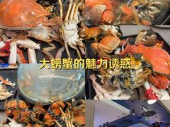 -乔哥铭洋海鲜自助(皇城恒隆广场店)