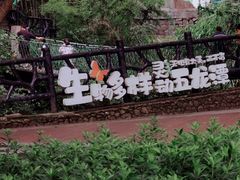 -宁波五龙潭景区