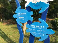 -广东惠东海龟国家级自然保护区