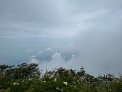-峨眉山风景名胜区