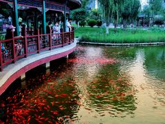 -西海子公园