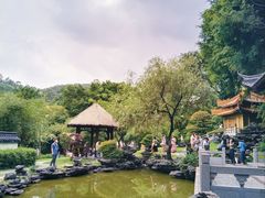 -深圳国际园林花卉博览园