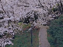 -苏州上方山国家森林公园