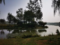 -东郊湿地公园