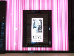 -Victoria's Secret(苏州中心全品类店)