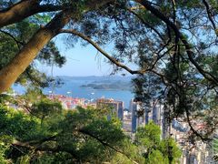 -梧桐山风景名胜区