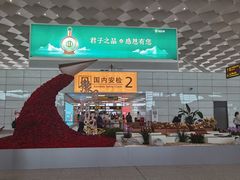 -郑州新郑国际机场-T2航站楼