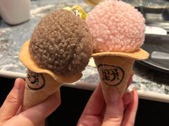 -野人先生现做冰淇淋(北京环宇荟店)