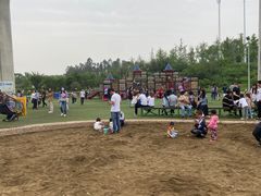 -秀丽东方