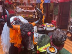 -吉祥圣雪藏餐