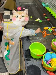 -MELAND CLUB亲子乐园·派对·餐厅(北京芳圆里ID MALL店)