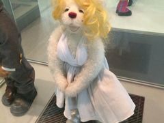 iphone_upload_pic-济州岛泰迪熊博物馆