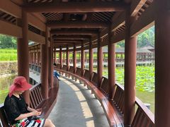 -龙头寺公园