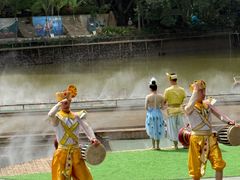 -西双版纳原始森林公园