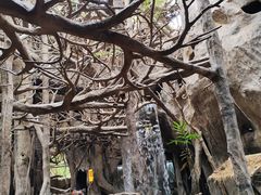 -长鹿旅游休博园