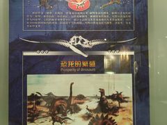 -中国地质大学逸夫博物馆