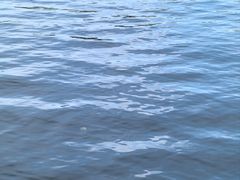 -紫霞湖公园
