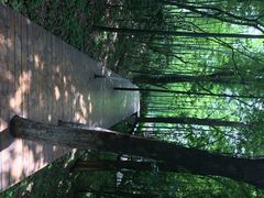 天目湖山水园景区-天目湖山水园