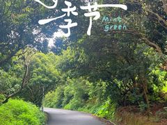 -艾米稻香小镇