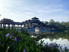 -南宁花花大世界景区