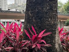 -荔湾湖公园