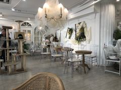 -共舞时光猫咖·狗咖(新街口店)