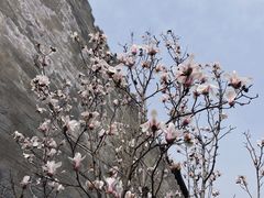 -东华门大街小区
