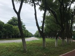 -南昌青山湖风景区