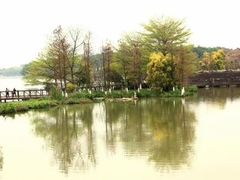 -海珠湖公园