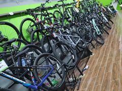 -道路口单车爱瓦士dahon大行