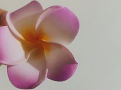 -泰融玺·泰式按摩SPA(包河万达店)