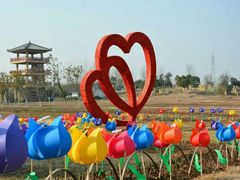-杭州湾海上花田景区