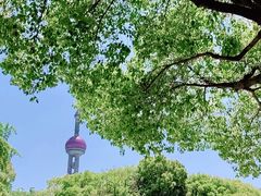 -上海港国际客运中心