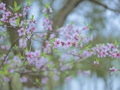 -天鹅湖体育公园