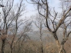 -紫金山山顶公园
