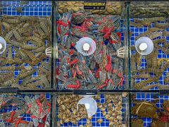 -明记海鲜大排档(巽寮湾店)