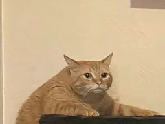 -喀秋莎俄罗斯西餐厅(广州分店)