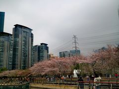 -西北湖绿化广场