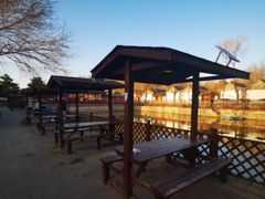 -尚庄度假村·庭台树下·户外烧烤·团建CS·轰趴营地(上庄水库店)