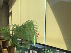 -西塔老太太泥炉烤肉(望京一店)
