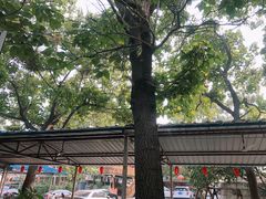 -凤凰岭蒙古包风味餐厅