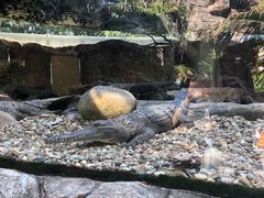 -可伦宾野生动物保护区